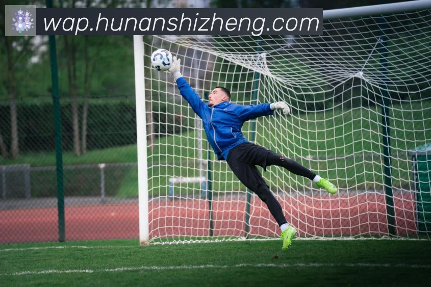 App Interface Preview