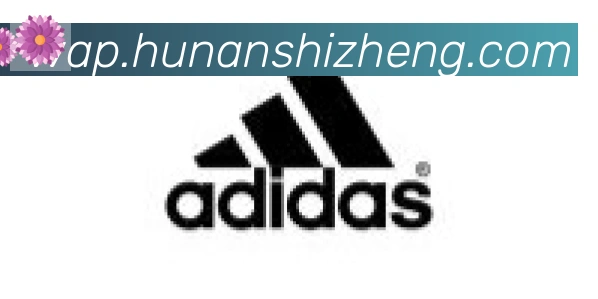 开云app官方在线入口合作伙伴