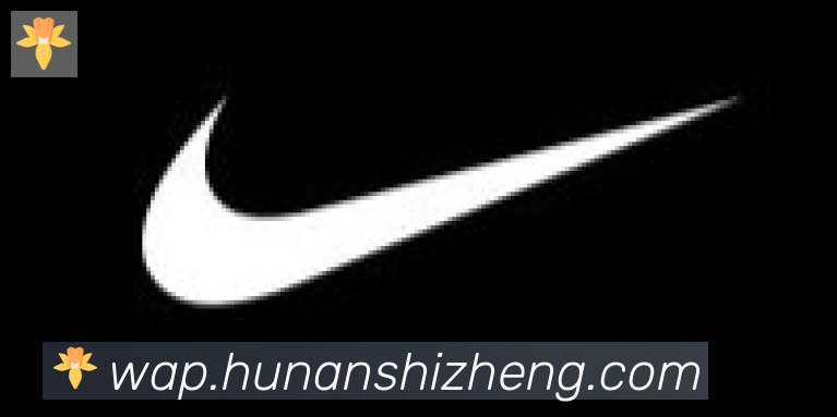 开云app官方在线入口合作伙伴