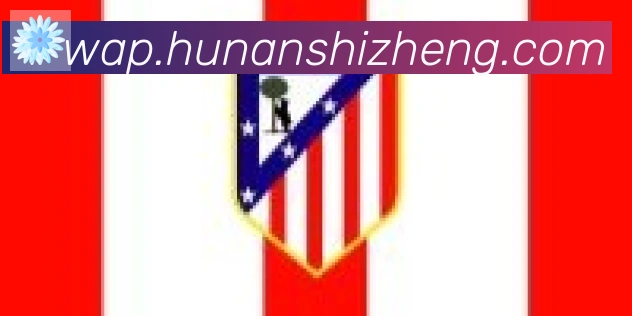 开云app官方在线入口合作伙伴