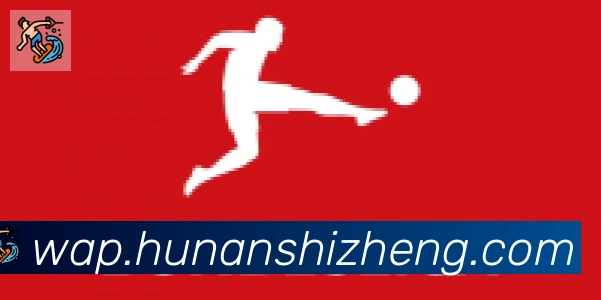 开云app官方在线入口合作伙伴